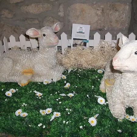 La Petite Boynarde *